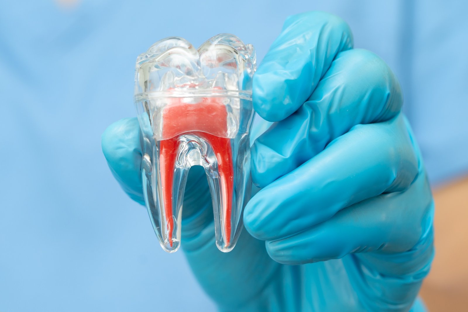 Asian dentist holding dental implant, artificial tooth roots into jaw